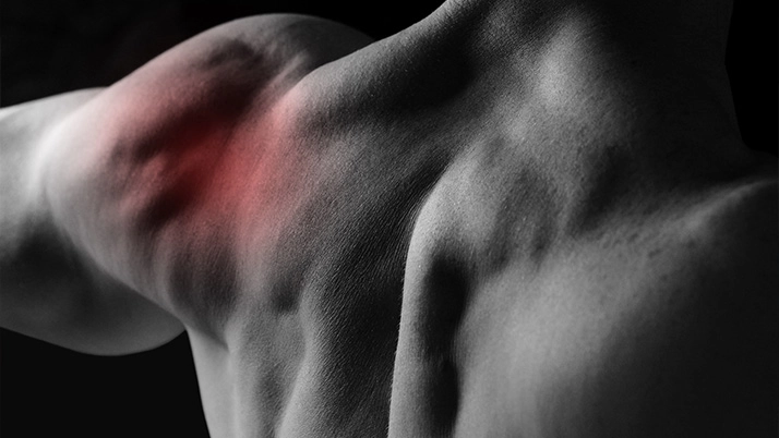 Chiropractic Towson MD Shoulder Pain